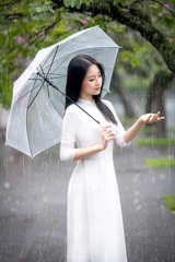 Ô Dù Trong Suốt Đi Mưa Ô Dù Chụp Hình Phong Cách Nhật Bản A0133