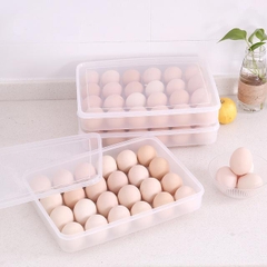 Hộp Đựng Trứng 24 Quả ( Nhựa Việt Nhật ) HA309