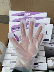 Găng Tay Victoria Bay Silicon Hộp 100 Chiếc A3031