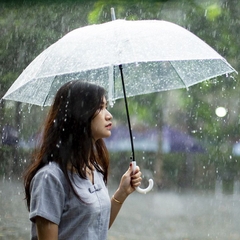 Ô Dù Trong Suốt Đi Mưa Ô Dù Chụp Hình Phong Cách Nhật Bản A0133