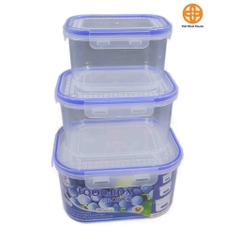 Bộ 3 Hộp Đựng Thực Phẩm (Hình Chữ Nhật) Nhựa Việt Nhật (6532) A1373