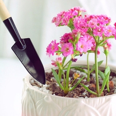 Dụng Cụ Làm Vườn Cuốc Xẻng Làm Vườn Mini Chăm Sóc Cây A1834