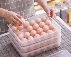 Hộp Đựng Trứng 24 Quả Có Nắp Đậy Nhựa Việt Nhật Khay Bảo Quản Trứng A1371