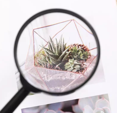 Kính lúp cầm tay cho người già đọc sách kính lúp nhựa cho học sinh kính lúp cầm tay đọc báo L0214