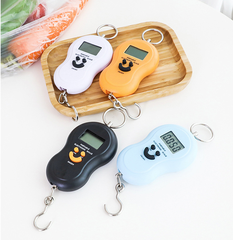 Cân điện tử cầm tay 50kg cân chính xác cân điện tử gram cân thực phẩm lò xo bỏ túi tiện lợi A1742