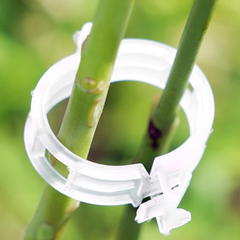 Kẹp nhựa khóa cố định buộc cành dây leo làm vườn kẹp cây ăn quả cây giống cây thân yếu L1512