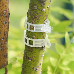 Kẹp nhựa khóa cố định buộc cành dây leo làm vườn kẹp cây ăn quả cây giống cây thân yếu L1512