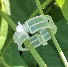 Kẹp nhựa khóa cố định buộc cành dây leo làm vườn kẹp cây ăn quả cây giống cây thân yếu L1512