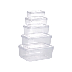 [ 2-300ML ] Hộp Lạnh Bầu Đựng Thức Ăn Trữ Thực Phẩm, Hộp Nhựa Đựng Đồ Ăn, Hộp Lưu Trữ Thức Ăn Bỏ Tủ Lạnh (6685) A2931-2