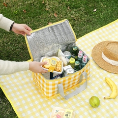 Túi Dã Ngoại Giữ Nhiệt Tráng Bạc Đựng Thực Phẩm Lạnh, Đồ Picnic Du Lịch Tiện Lợi A5032