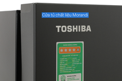 Tủ lạnh Toshiba 2 cánh inverter 321 lít GR-RB405WEA-PMV(06)-MG