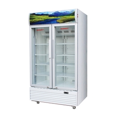 Tủ mát Sanaky inverter 1000 lít VH-1009HP3 giá rẻ tại Hà Nội