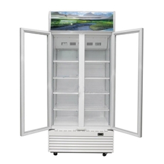 Tủ mát Sanaky inverter 1000 lít VH-1009HP3 giá rẻ tại Hà Nội