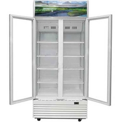 Tủ mát Sanaky 900 lít VH-1009HP giá tốt