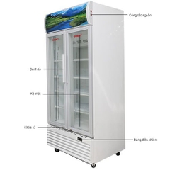 Tủ mát Sanaky 900 lít VH-1009HP giá tốt