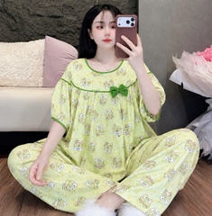 Bộ tole phối nơ dể thương