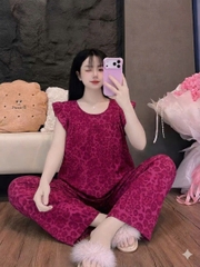 tay tiên quần dài tole dể thương