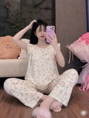 17 mẫu tole Tay tiên quần dài
