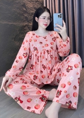 Đồ bộ tay dài tole lạnh size dưới 60kg
