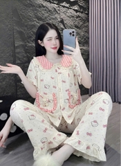 13mẫu tay ngắn lụa đũi mềm gắn gấu