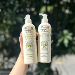 Set gội xả Voudioty BIOTIN & COLLAGEN Phục Hồi 500ML