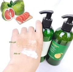 SET GỘI XẢ BƯỞI COCOON 500ML + 310ML