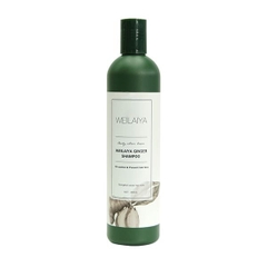 Weilaiya - (Bán rời) Dầu Gội Dầu Xả Gừng Weilaiya Ginger Shampoo 400ml