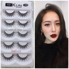 Mi Giả 5D Kun 01