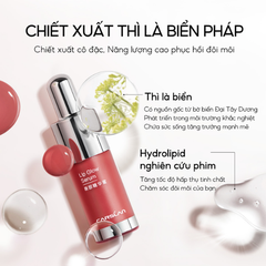 Son Tint Serum Carslan Dưỡng Ẩm, Dưỡng Môi, Giảm Nếp Nhăn1g Mini #G102