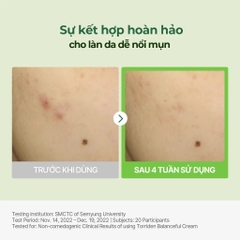 TORRIDEN. Kem Dưỡng Balanceful Xanh Lá 80ml
