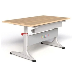 Bàn Học Sinh BHS01-M