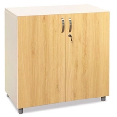 Tủ Sắt Cánh Gỗ TSG02-2
