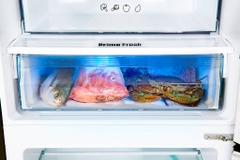 Tủ lạnh Panasonic Inverter 290 lít NR-BV320GKVN
