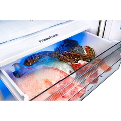 Tủ lạnh Panasonic Inverter 290 lít NR-BV320GKVN