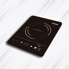 Bếp hồng ngoại RAPIDO RC2000ES