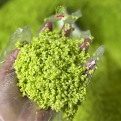 Bánh Chưng Cốm - to