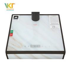 Máy lọc nước nóng lạnh RO Toshiba TWP-W1905SV(MB)
