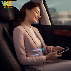 Máy massage lưng SKG W9 PRO