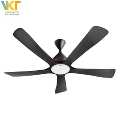 Quạt trần Panasonic F-60DGN