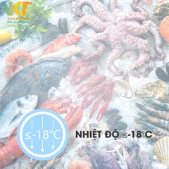 Tủ đông Sanaky VH-150HY2 150 lít