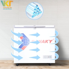 Tủ đông Sanaky VH-255A2 250 lít