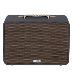 Loa karaoke di động xách tay SONCAMEDIA CS250PRO