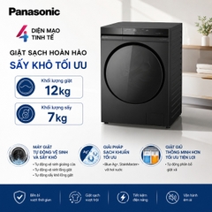 Máy giặt sấy Panasonic Inverter NA-S24DW1BVT