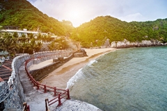 HÀ NỘI - CÁT BÀ 2N1Đ