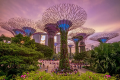 [2025] DU LỊCH SINGAPORE - MALAYSIA 5N4Đ TR