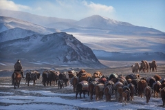 [2025] 4 NƯỚC TRUNG Á 18N17Đ CZ KAZAKHSTAN-KYRGYZSTAN-UZBEKISTAN-TURKMENISTAN