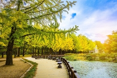 [2024] KHÁM PHÁ XỨ SỞ KIM CHI HÀN QUỐC 5N4Đ VNA SEOUL – NAMI – SEOUL GRAND PARK 