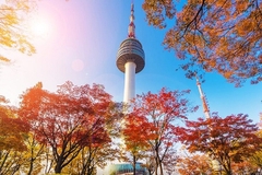 [2024] HÀN QUỐC 5N4Đ 7C SEOUL – ĐẢO NAMI – CÔNG VIÊN EVERLAND...