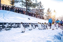 [2025] KHÁM PHÁ HOKKAIDO MÙA THU 6N5Đ NH SAHIKAWA – SAPPORO – TOKYO 