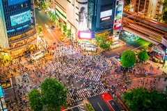 [2025] NHẬT BẢN 6N5Đ JL TOKYO - BẢO TÀNG HARRY POTTER - NÚI PHÚ SĨ